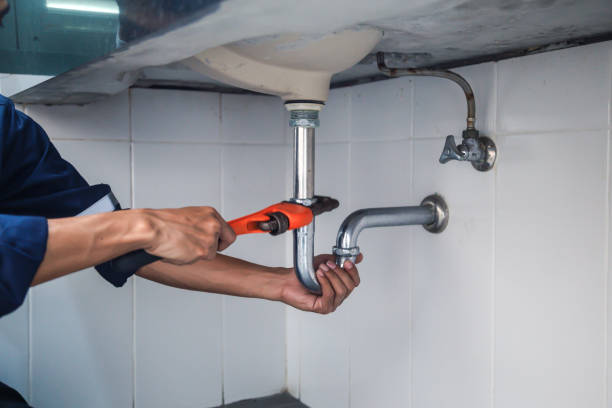Best Leak Detection Services  in Pu, HI